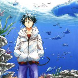 海动漫在线观看免费观看,在线观看无门槛体验